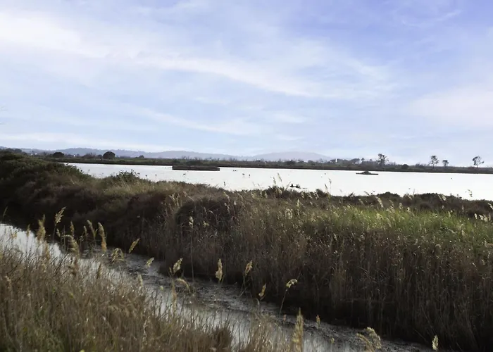 Port De La Gavine-31 By Interhome *